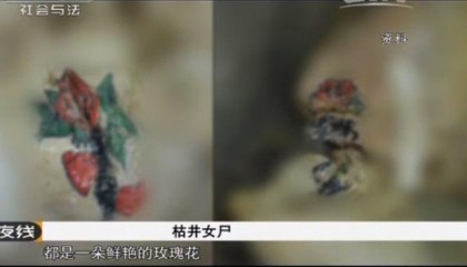 蜘蛛直播官方网站-24岁小伙爱上51岁大妈，大妈性欲高还虐待他，结果被小伙砍成5段
